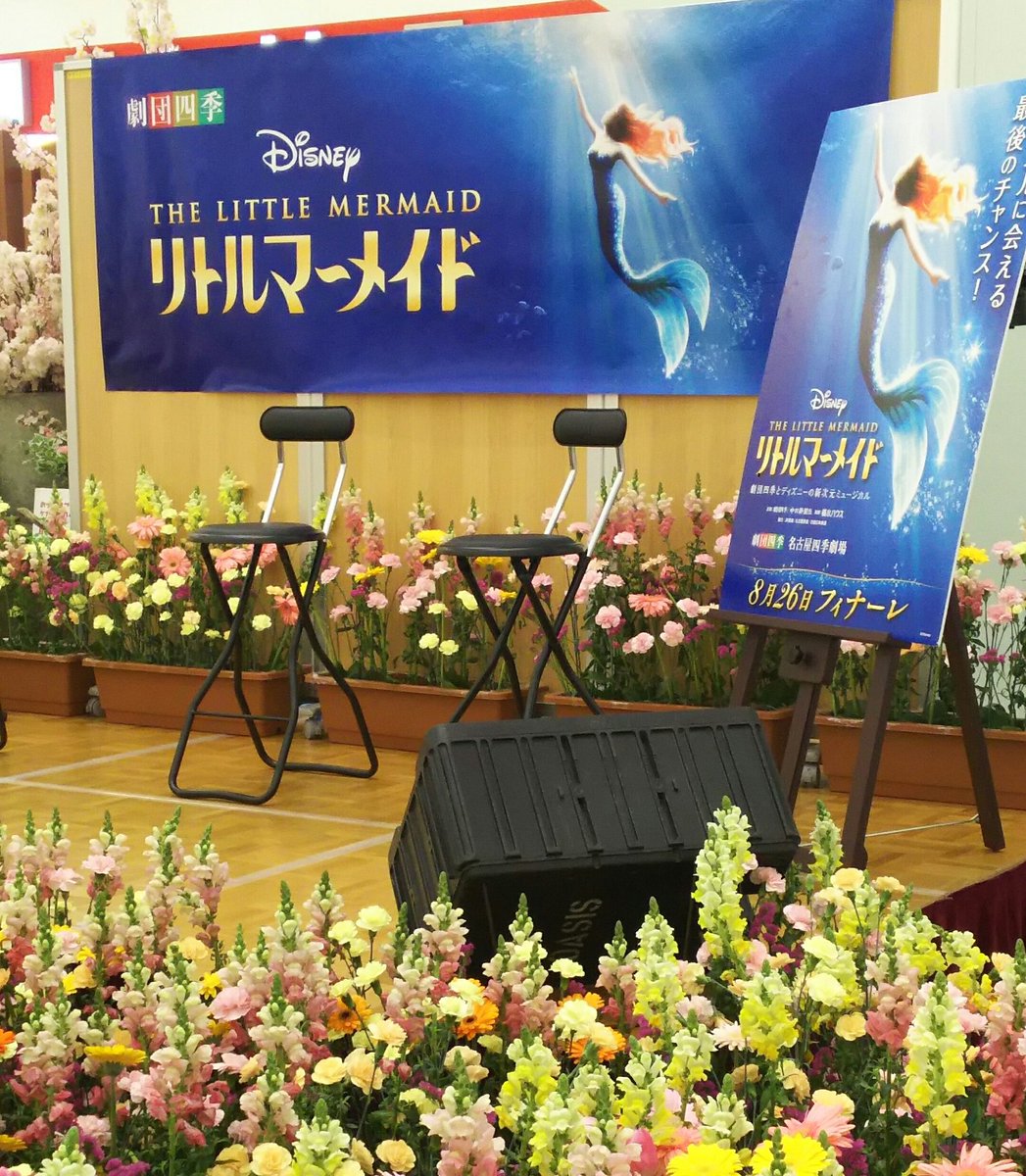 ট ইট র きょう リトルマーメイド スペシャルイベント参加してきました 11時からと13時から2回とも トークの後は パートオブユアワールドとアンダーザシーを聴けて良かった 写真や動画の撮影okとのことだったのでしっかりおさめてきました 劇団四季 ট ইট র きょう リトルマーメイド スペシャルイベント参加してきました 11時からと13時から2回とも トークの後は パートオブユアワールドとアンダーザシーを聴けて良かった 写真や動画の撮影okとのことだったのでしっかりおさめてきました 劇団四季