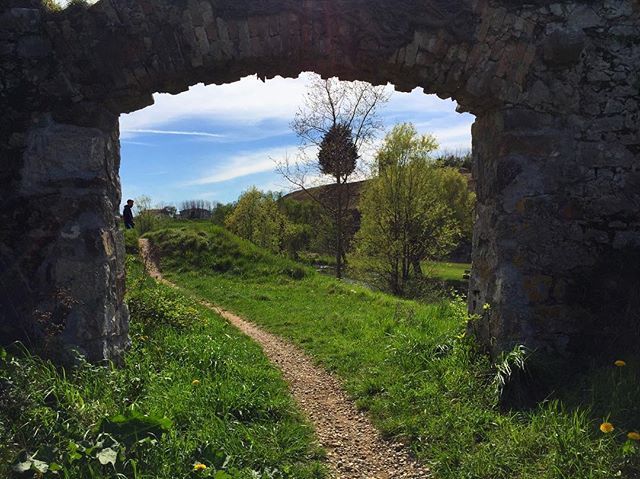 Window #palmanova #fvg #fvglive #fvgphoto #igersfvg #volgofvg #vivofvg #instafvg #fvglive #somewherefvg #postcardfromtheworld #postcardfromitaly #regionefvg #naturephotography #igersnature #vscocam #vsconature #vscocamgram #iphoneography #volgoitalia #vo… ift.tt/2IXDdQl