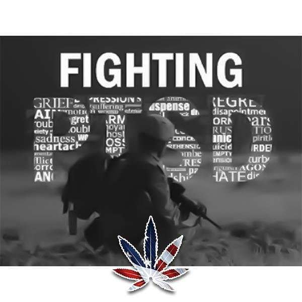 herogrown's tweet photo. Soon we will end the war on veterans and first responders who choose cannabis as a safe alternative to the deadly prescription drugs that are killing more than fifty heroes a day. You are not alone. https://t.co/isNPS0qfao .
.
.
.
.
#HeroGrown #PillsKill #CannabisHeals #PassTh… https://t.co/dAOtLJmaip