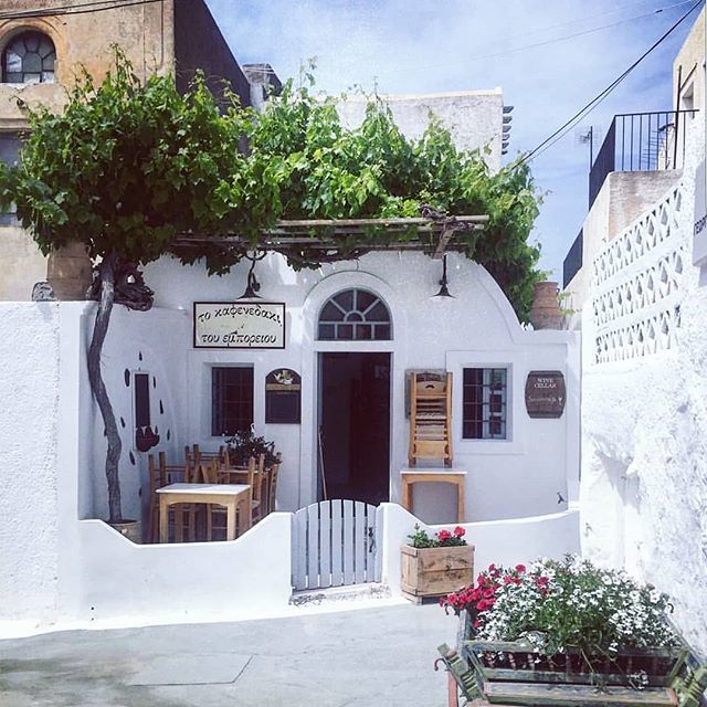 SantoSecrets's tweet photo. Why don't you begin your #sundaymorning on this little traditional cafe at #emporeio ? 😉
#santorinisecrets #lovesantorini #instasantorini #morningcoffee #emporiosantorini #visitsantorini #thira #destinationsantorini #cyclades #santorinilife #traditio… https://t.co/gDeWEpcJN2 https://t.co/LX5v19Edq1
