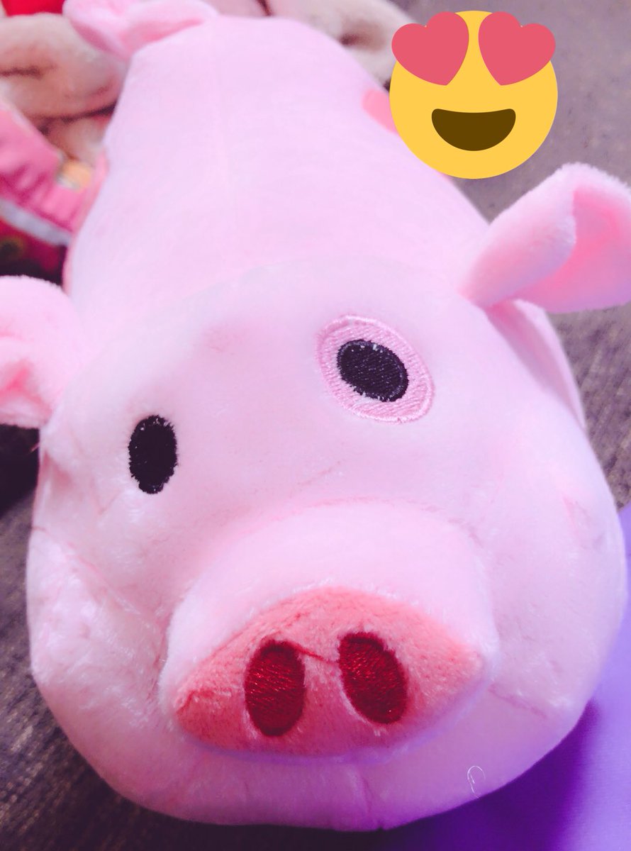Twitter पर しずみろん 明日は朝一ディズニー 今日はお仕事やら 色々頑張りましょ 私の可愛い可愛いよったんを 載せておく 怪奇ゾーングラビティーフォールズ