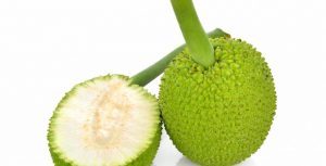 healthbanktips.com/breadfruit-for…
