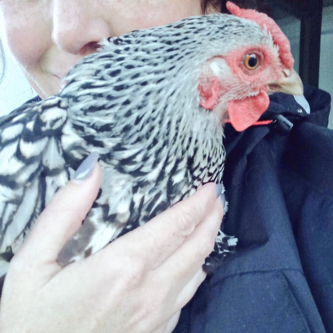 #farmlife https://t.co/kKHT2wgCwc<a href="/tag/farmlife"class="tags">#farmlife</a>
