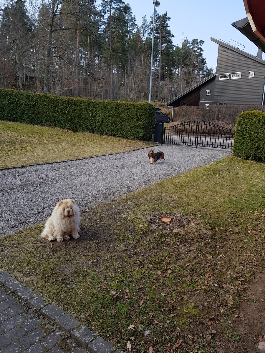 Henrik Ahnberg (@admiralbulldog) on Twitter photo 