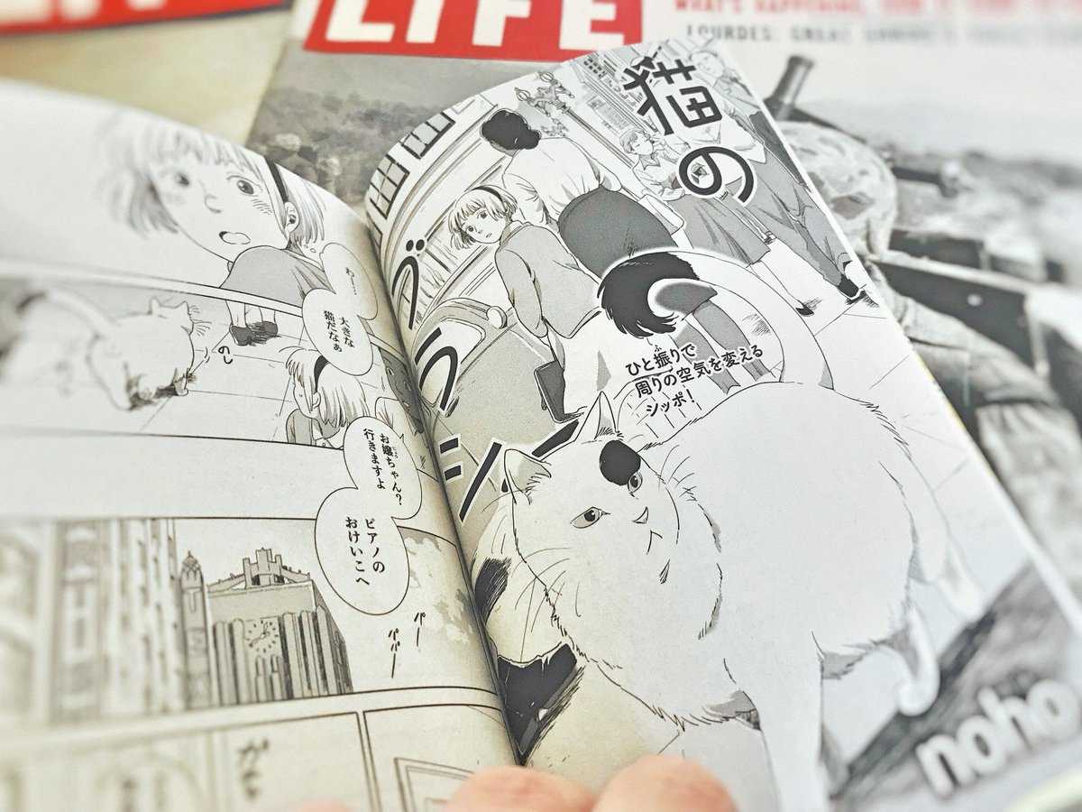 ねこぱんちの見本誌が届きました?読み切り漫画「猫のブラシ」よろしくお願いします。明日、月曜日発売です。 