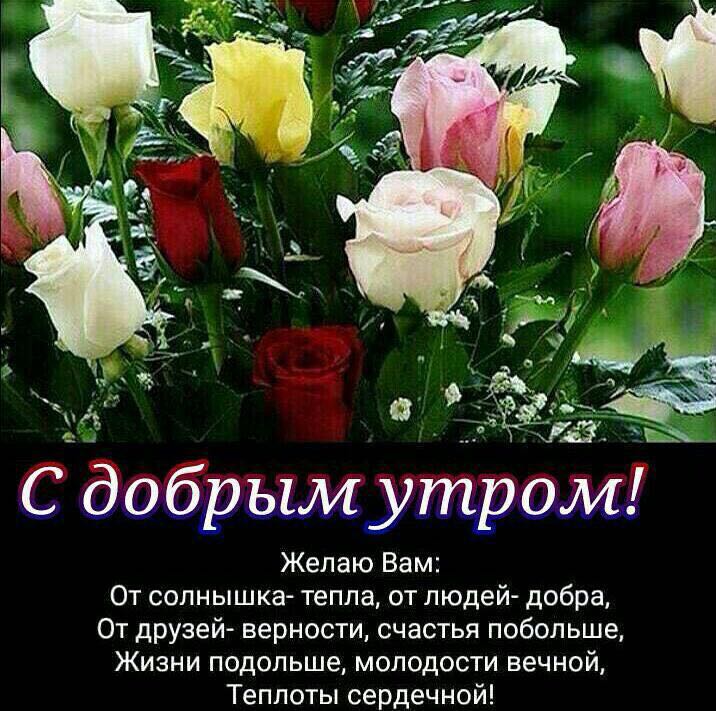 Полет любви, открытка с добрым утром милая надюша
