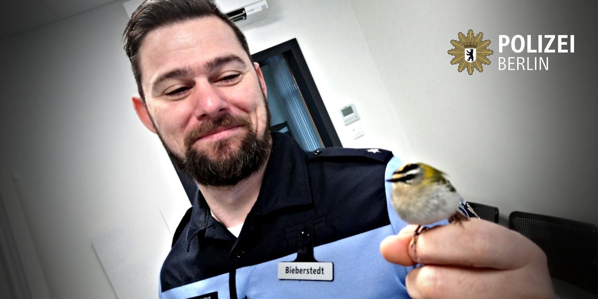 Polizei Berlin tweet media