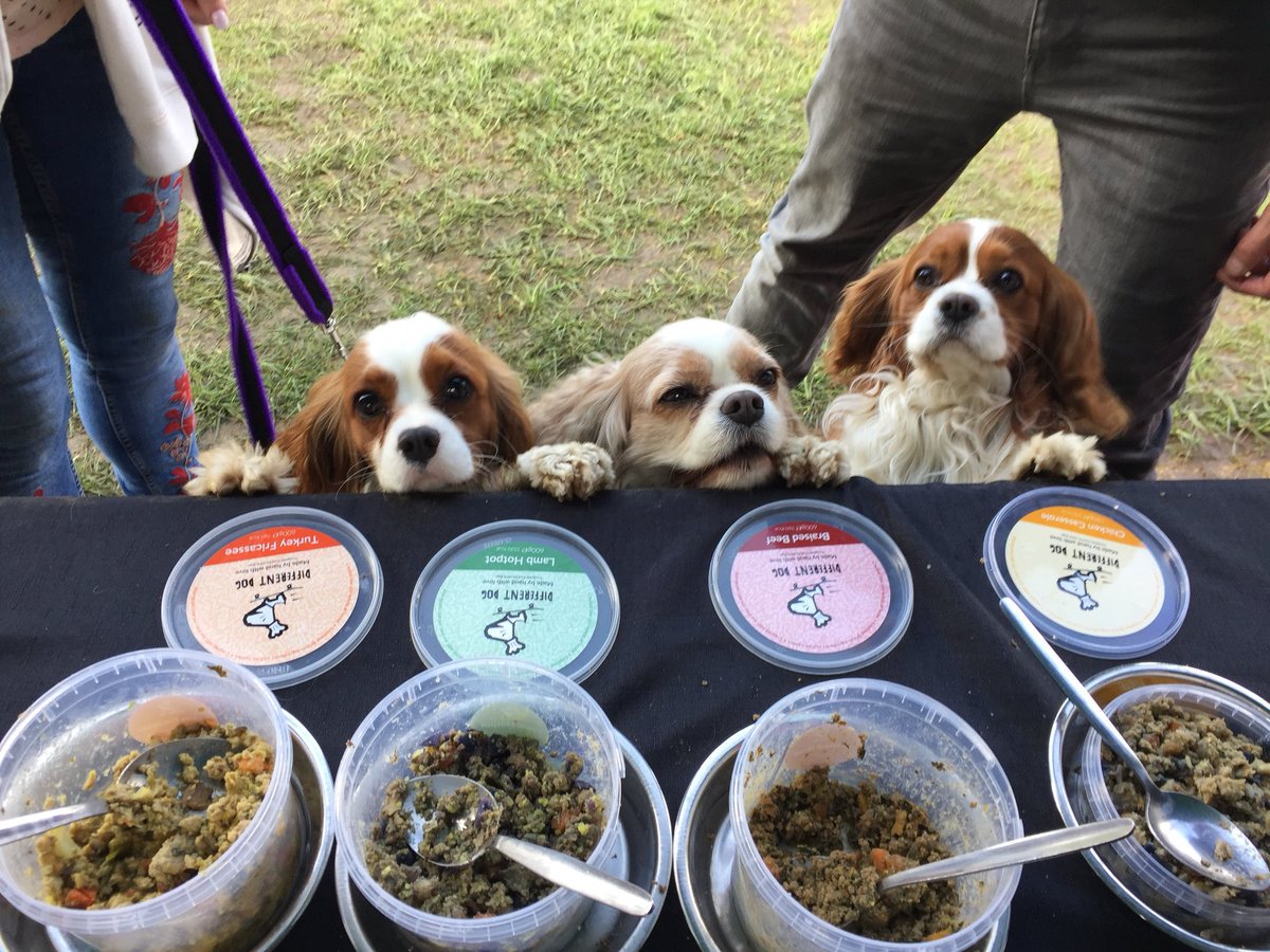 _differentdog's tweet image. Jasper, Rosie and Bailey loved our taster bar at All About Dogs in Newbury, Come and visit us today for some more tasty food! 🐶🐾 #AllAboutDogs #Differentdog @Allaboutdogssho