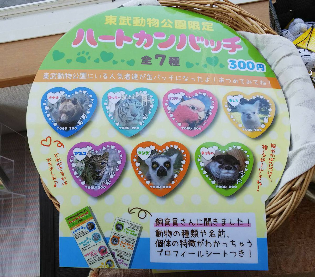 明日から、新商品のオリジナル缶バッジの販売を開始します。販売場所は