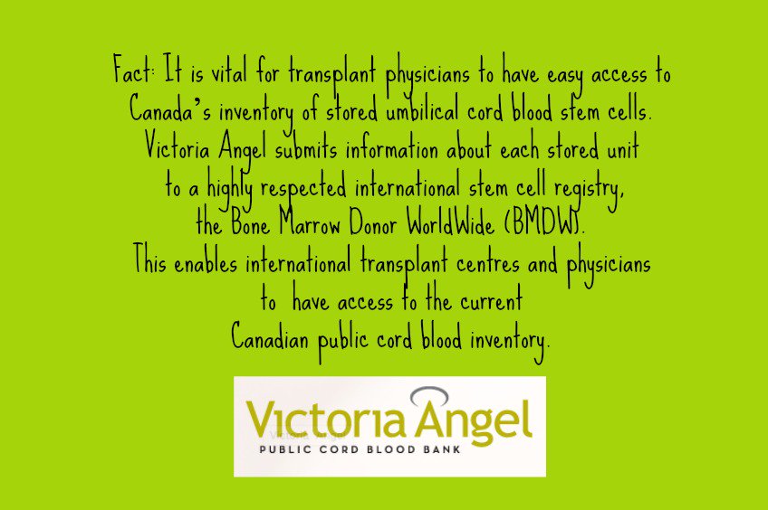 _VictoriaAngel's tweet image. Donating your newborn baby's cord blood could help save the life of a patient in need here in Canada or around the world! The process is quick, painless and will not mess with your bonding time. Learn more and be sure to register before 36 weeks: ow.ly/TmUm30jIVts