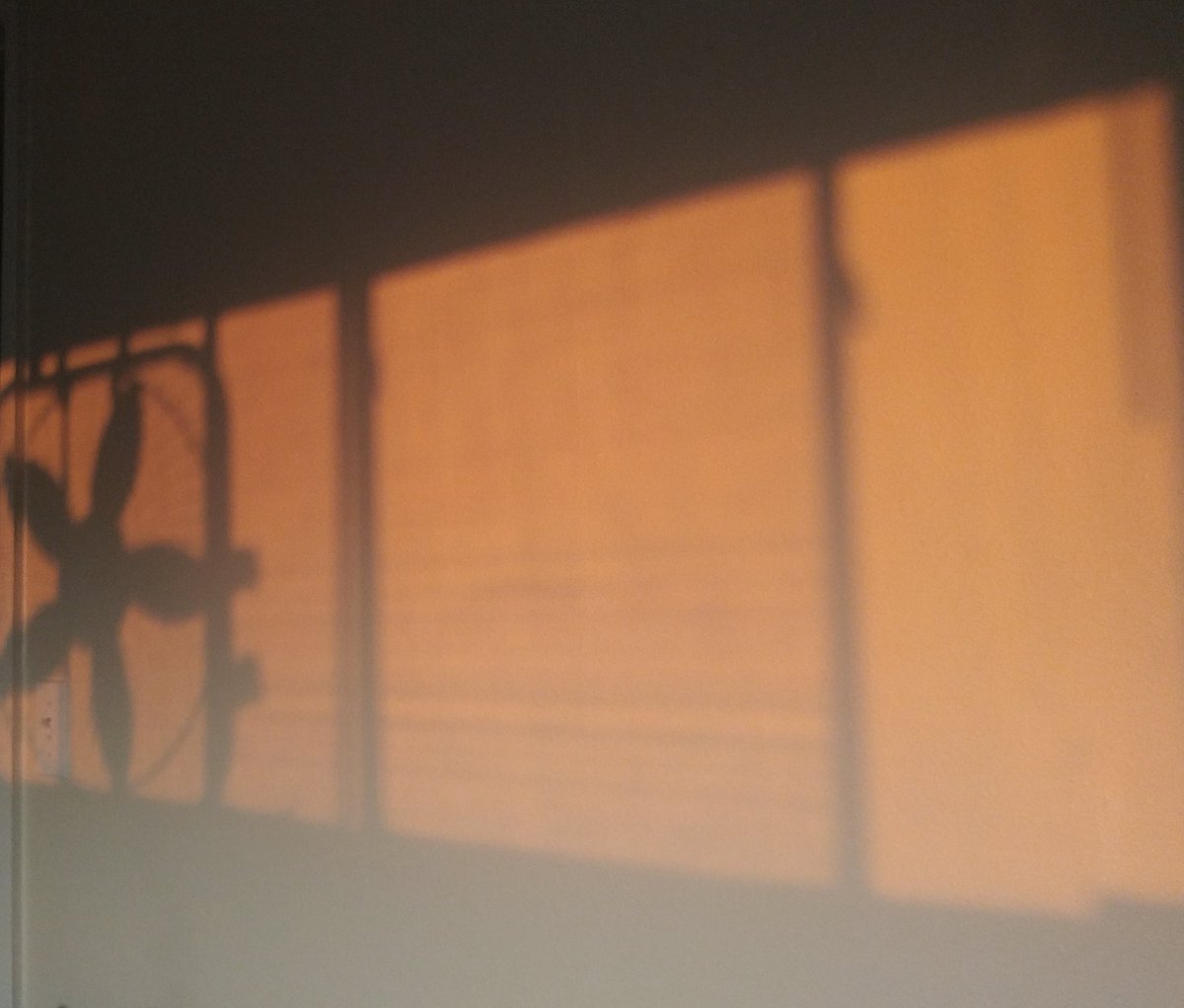 Shot of the day: Late summer sunrise