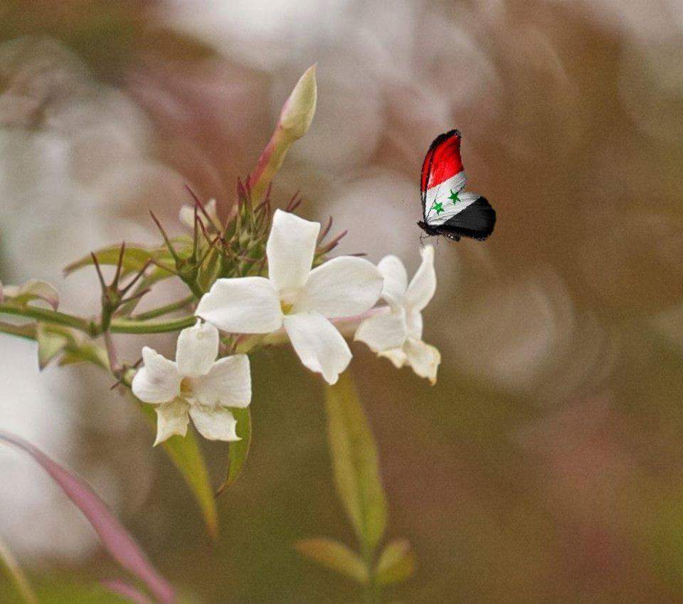 Moon_8822's tweet photo. @Raaedsk @hamshare50 صباحكم اجمل واجمل ياارب https://t.co/1DlnMZzgCE