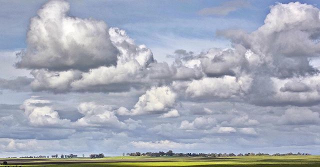 WineBizIntel's tweet photo. Who out there doesn’t have a fascination with clouds!? Do you see the flying turkey on the right, or the elephant right on the other side of him, or the swan in the left!? .
.
.
.
.#alltheswirl #amazing_nature #beatifuldestinations #caligrammers #clementshills #country_featu… https://t.co/A4ypiLpXTb