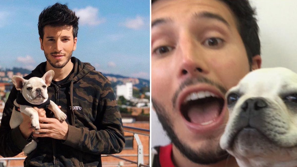 Univision's tweet photo. .@SebastianYatra explota de felicidad porque encontraron a su ‘hijo’ perro https://t.co/6UB7r3Tqud https://t.co/j8dBNEYFXB