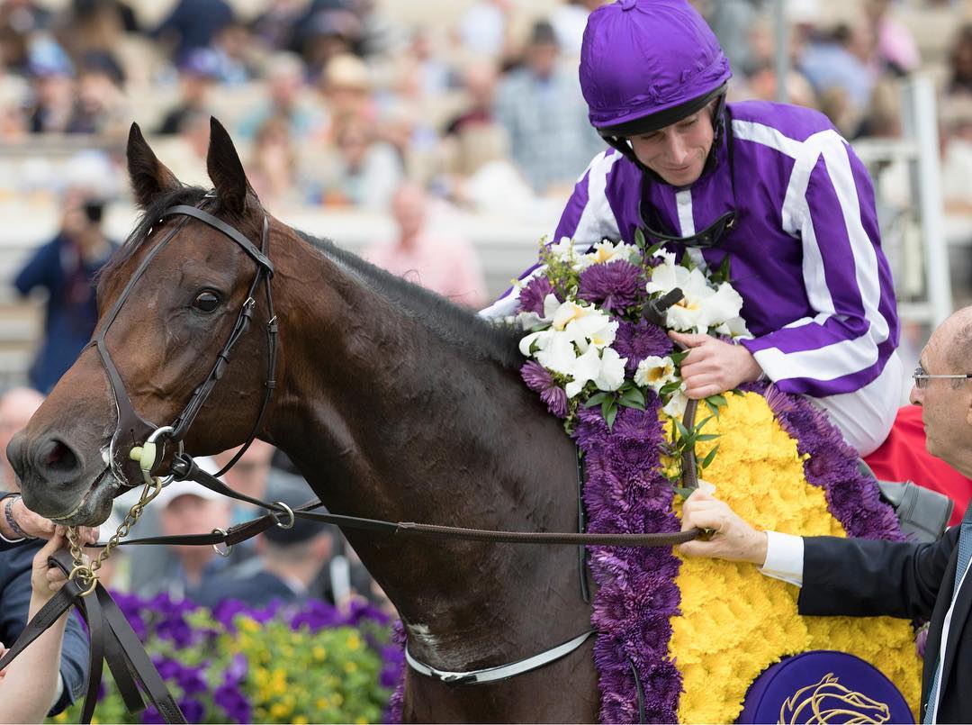 #Mendelssohn💜 top contender for the 2018 #KyDerby all the way in from Dubai after his 🏆 last race &amp; victory at the #UAEDerby #MeydanRacecourse 3/31. 🗺 Look forward to seeing you on the track this Saturday! #ChurchillDowns #144thKentuckyDerby 📸 <a href="/EclipseSports/">Eclipse Sportswire</a> #SocialHattitudes
