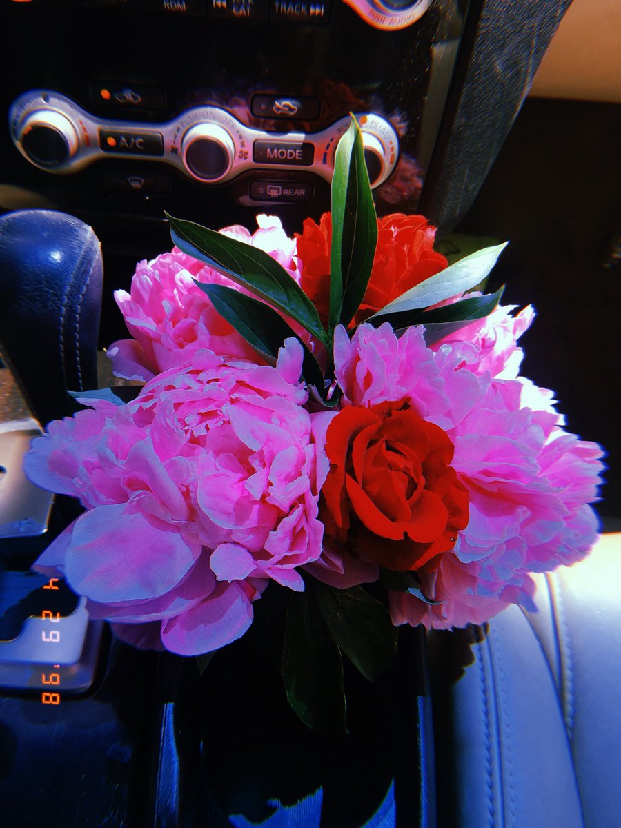 samarafaye_'s tweet photo. Nothing beats fresh picked flowers. 😊 https://t.co/7PsHgUlD7b
