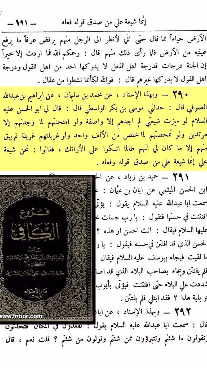 سمك القرش tweet media