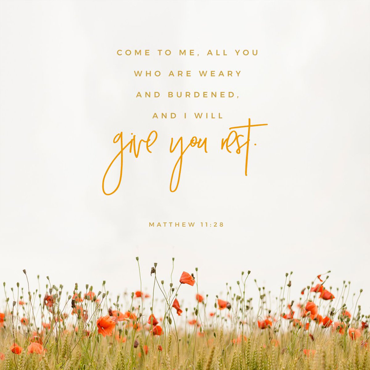disciplefellow's tweet photo. Come to me, all who labor and are heavy laden, and I will give you rest.
Matthew 11:28 ESV
https://t.co/AIu3zMKi20 https://t.co/ibhTuvhYUM