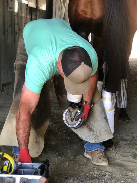 WinPlaceShowTV's tweet photo. @Kimbchr @AfterFinishLine @WageringTyler @UrbnHandicapper @TeamGeeMoney @ScatoniSureShot @racing_dudes @GeorgeOrtuzar @Derbyserge @msonbum @VictoriasSilver Bid to win this @KentuckyDerby contender’s horseshoe~ @theboltshow ~Auction ends TODAY at 3p PT / 6p ET, https://t.co/H1KtgMRIcy https://t.co/nY0vx4fVAP