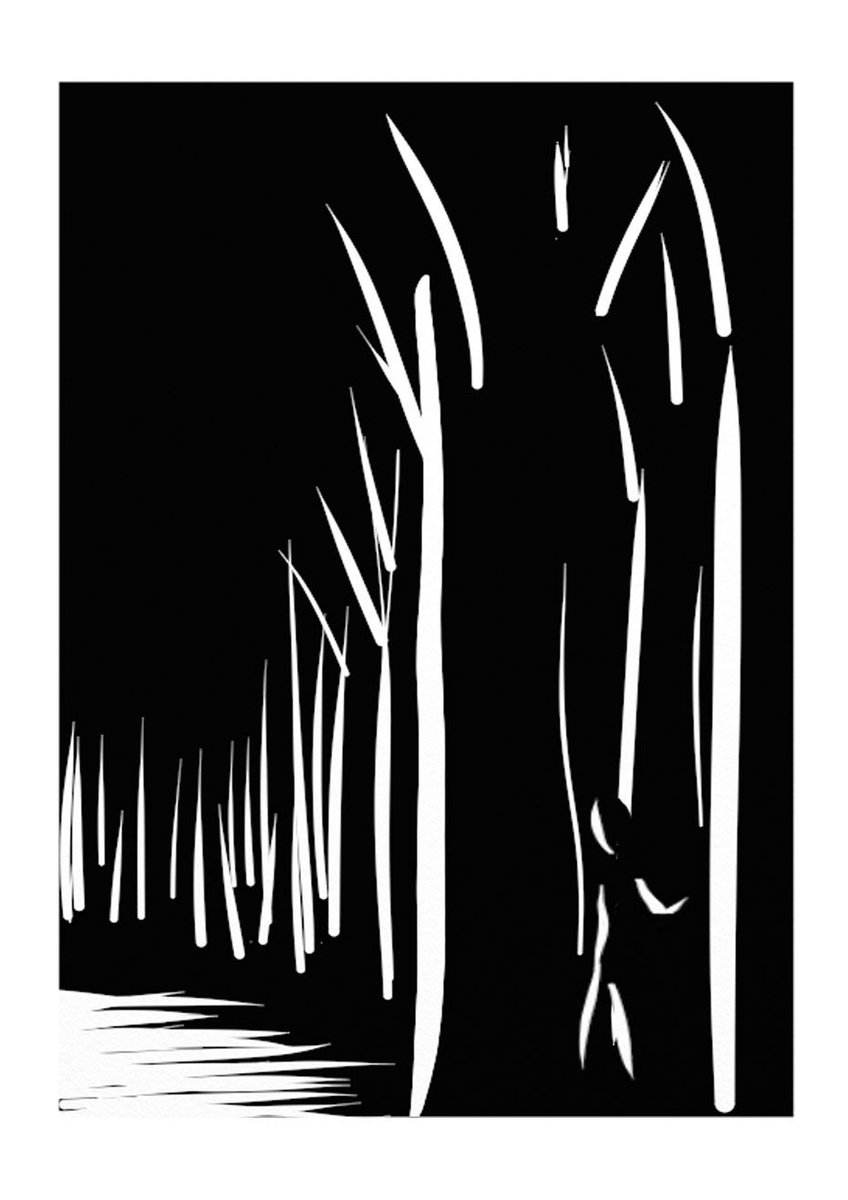 Rachel H. White tweet media