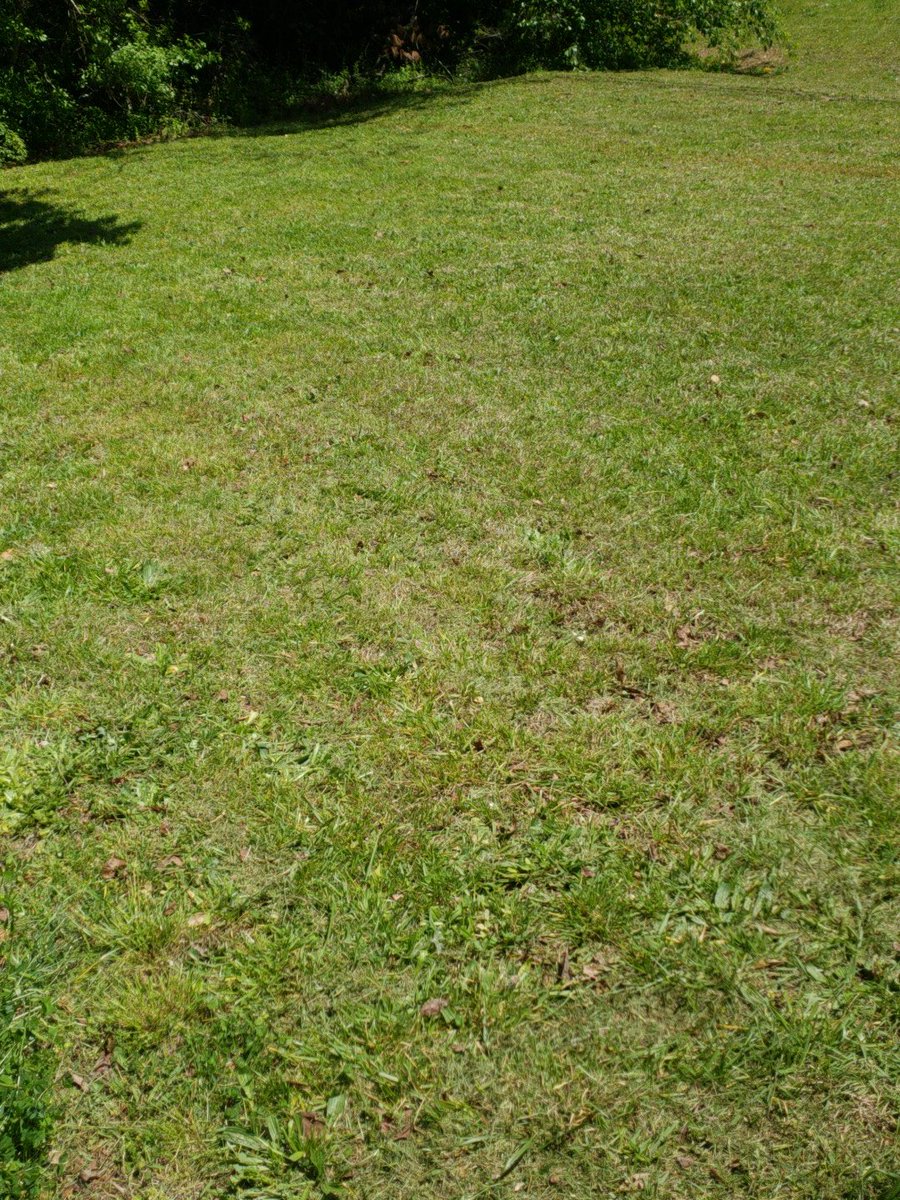 SmurfetteSims's tweet image. Great relaxing morning doing yard work. All done &amp;amp; love my new mower and trimmer they both worked great.  #troybuilt #honda #blackanddecker #yardwork  #freshcutgrass