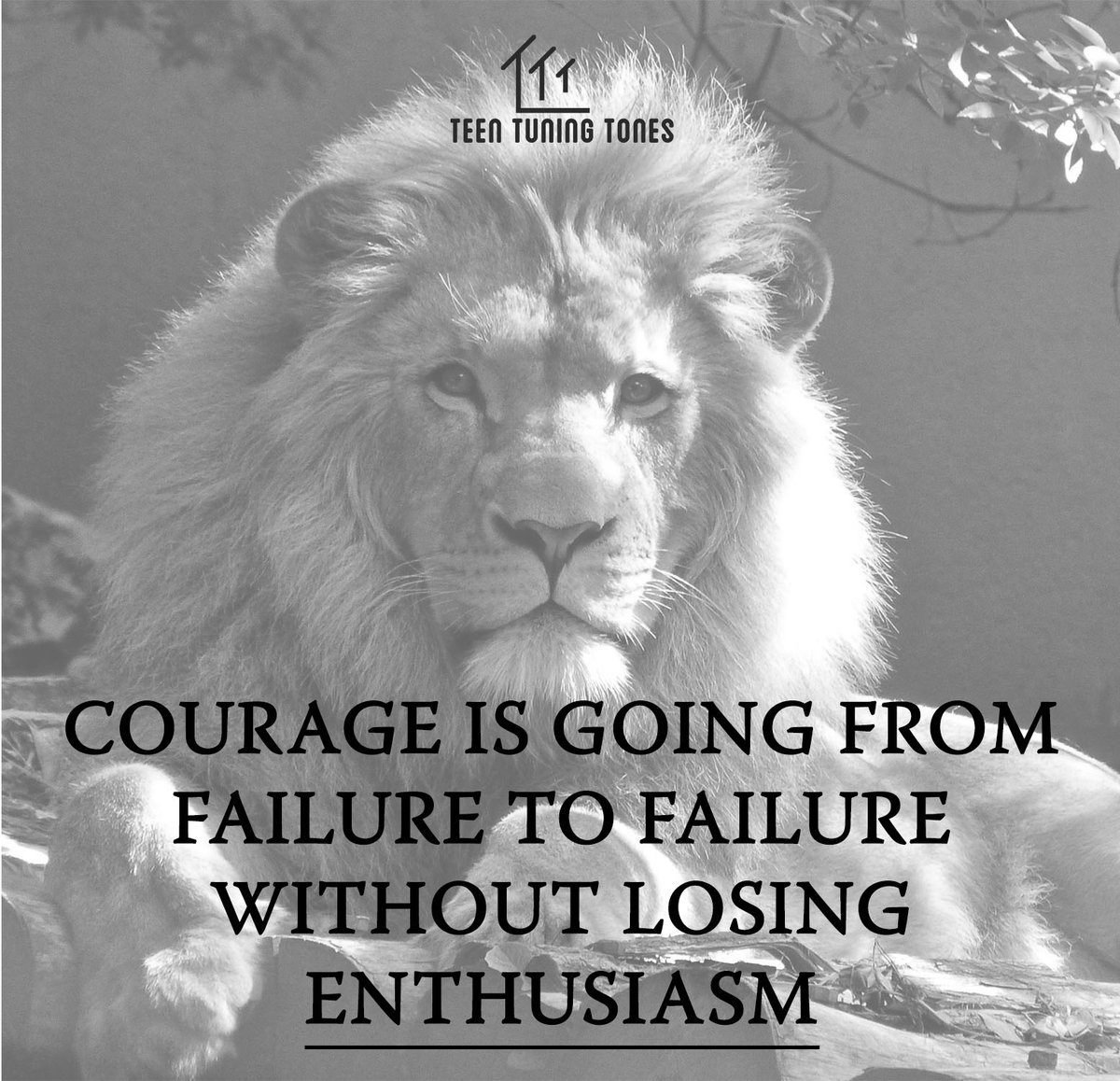 TeenTuningTones's tweet photo. "Courage is going from failure to failure without losing enthusiasm"

#enthusiasm #bebrave #bravequotes #couragequotes #quotestoself #tetuto #teentuningtones #courage #beboldbeyou #quotes #failureisnotanoption #dontlosehope #bravehearts #bebold #quoteoftheday #quotestoself #aim https://t.co/NMMn8sPot4