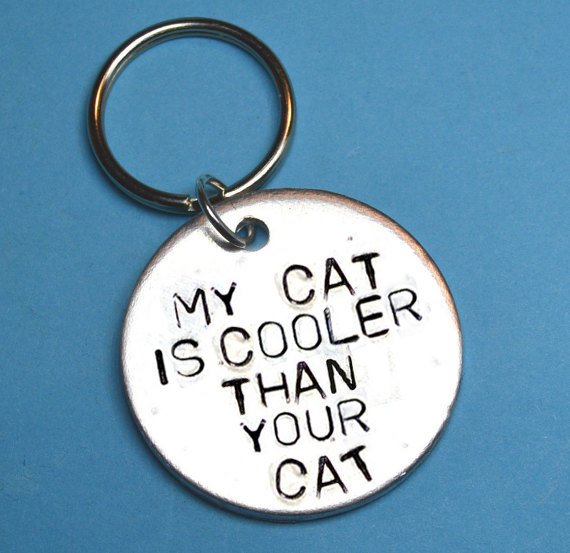 NoraBeeBee's tweet photo. MY CAT IS COOLER THAN YOUR CAT. #CATLOVERT #CATGIFT #CATACCESSORIES #CATS #CAT #CATCOOL #CATSARECOOL #CATOWNER #FUNNYCATS https://t.co/WuomymW0bC https://t.co/dIkNRCaoGt