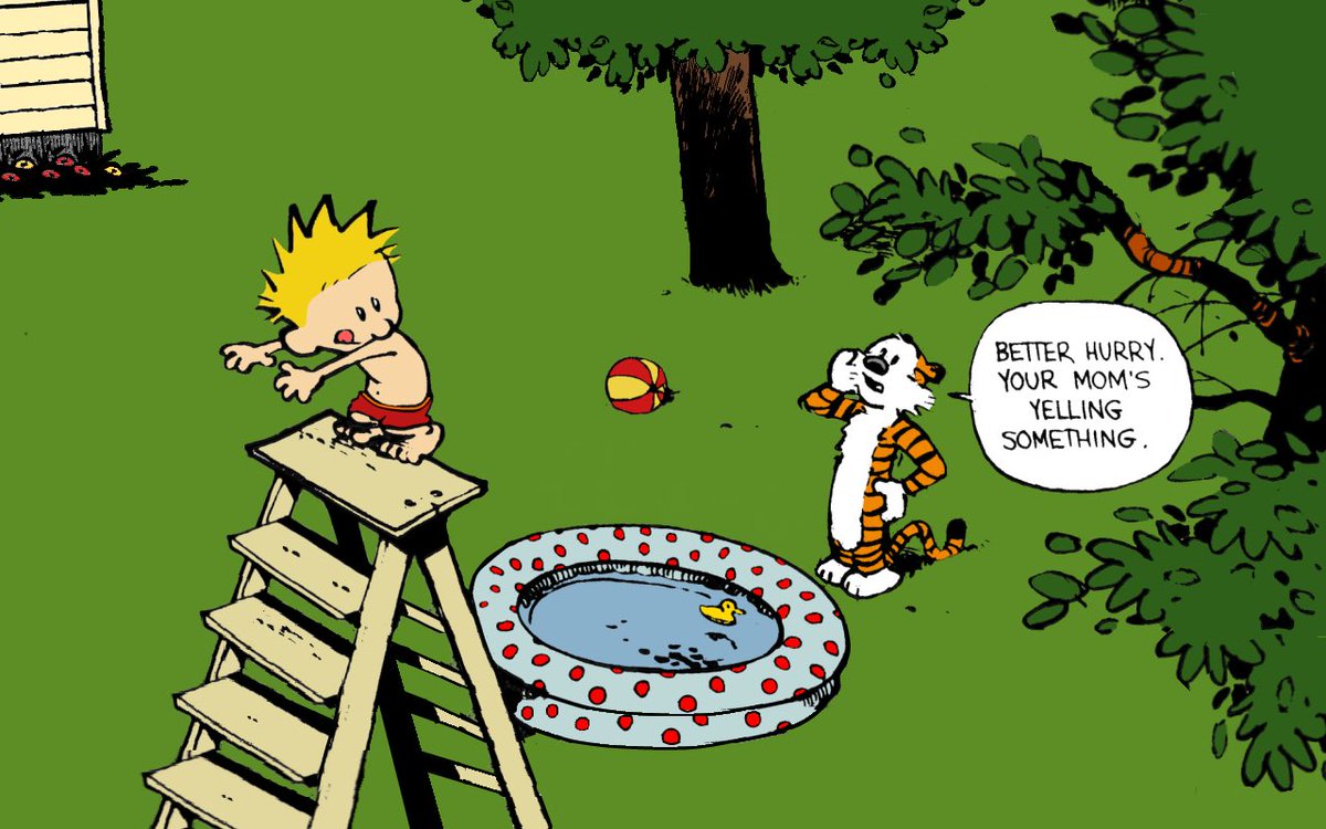 Calvinn_Hobbes's tweet photo. What could go wrong?… https://t.co/15oz4bxv0R
