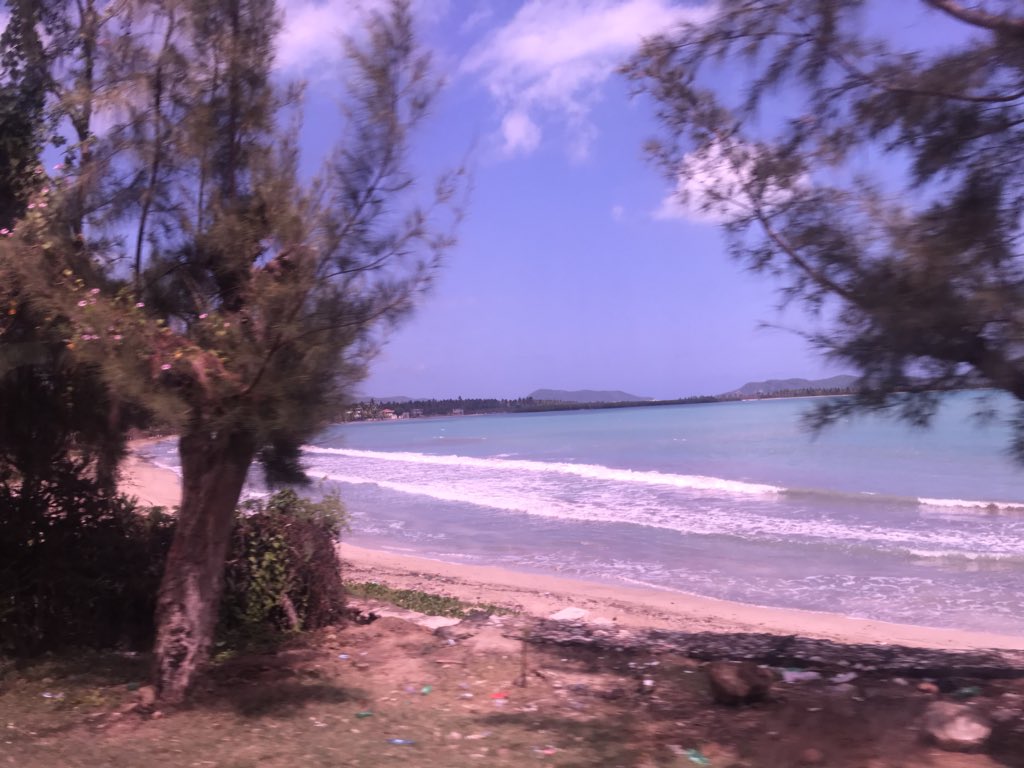JeanneC_IO's tweet photo. J’apprécie tellement #TechCampOkay pour qui m'a permis de voir le magnifique
département du Sud pour la première fois — mais pas la dernière! https://t.co/f2N4oHvglf