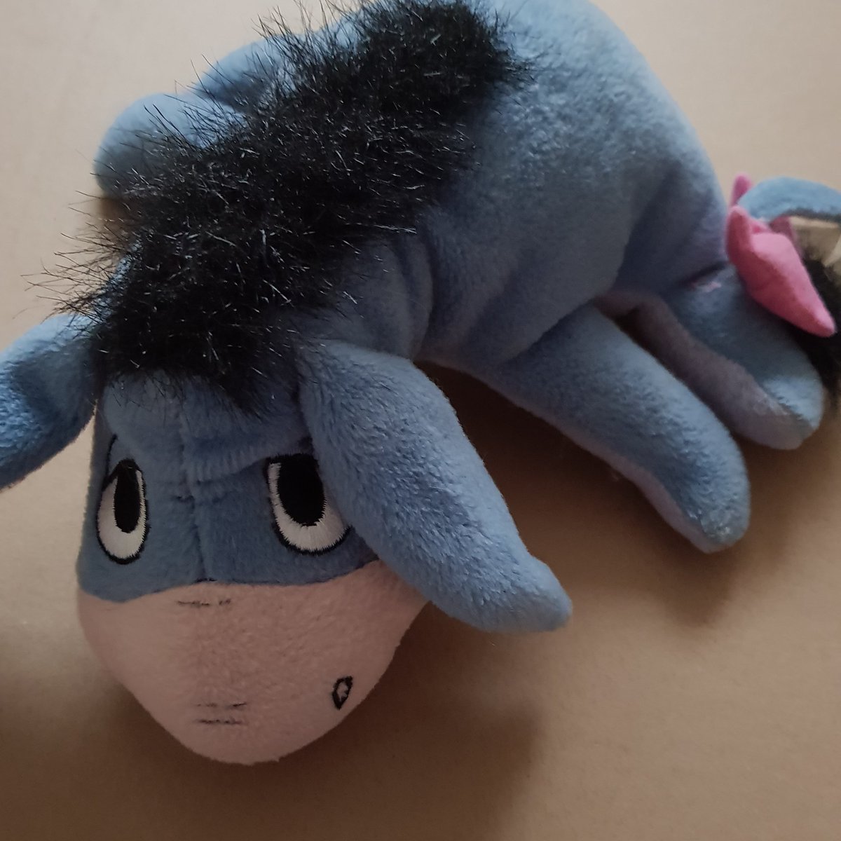 This little fella lost his owner at the activities festival today. Does anyone know who he belongs to? We have him safe here ready for his owner! Please share to get him home 😊 <a href="/ActivityFest/">Forest Activities</a> <a href="/speechhouse/">The Speech House Hotel</a> <a href="/DeanWye/">Luke Manning</a> <a href="/FoDDC/">Forest of Dean District Council</a>