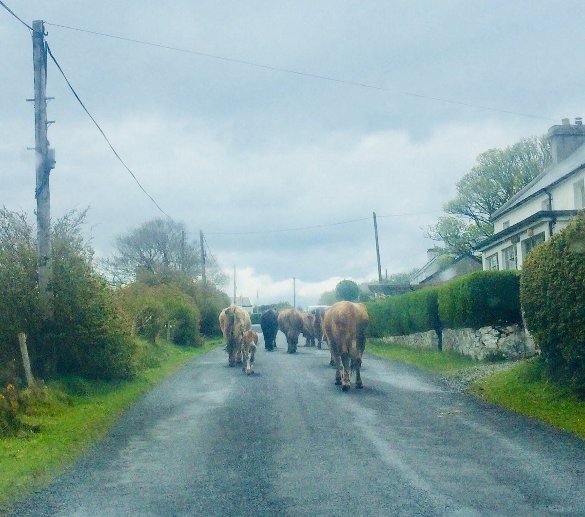 SiobhanFoody's tweet photo. Fantastic day judging @SWOutWest @techstars @BOIstartups #SWOutWest #Achill #Mayo @lovecastlebar @Tracy_Keogh https://t.co/PvNmBjBXcB