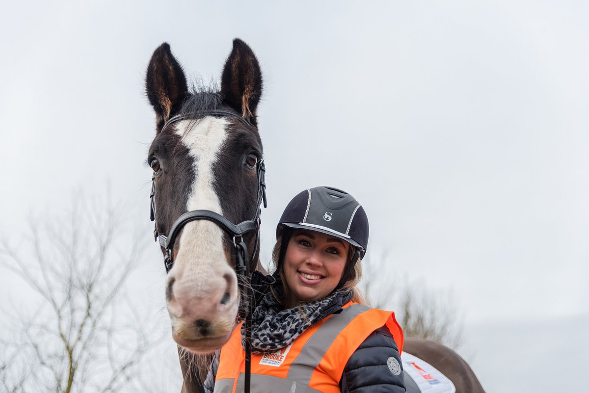 TheBrooke's tweet photo. Join #MyHackathon and change the lives of some of the world's most vulnerable working horses, donkeys and mules! Sign up and ride 100 miles in 100 days to raise £100 for Brooke: https://t.co/qxWyToBTAd #equinehour https://t.co/KGKbQ3e7sa