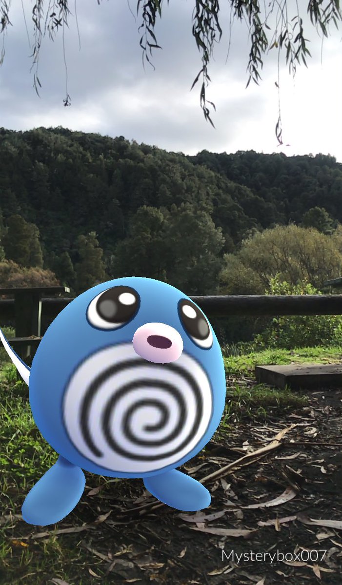 Scott_bigD's tweet image. I don’t AR+ often cause they always run but when i get reminded its still a feature of the game 😂 I’ll take time out at a nice spot for photos. Had a fun day out traveling to drop a friends kid off home to his mum. Any excuse to get in some pogo travel 😁 #ARPlusMode #PokemonGO