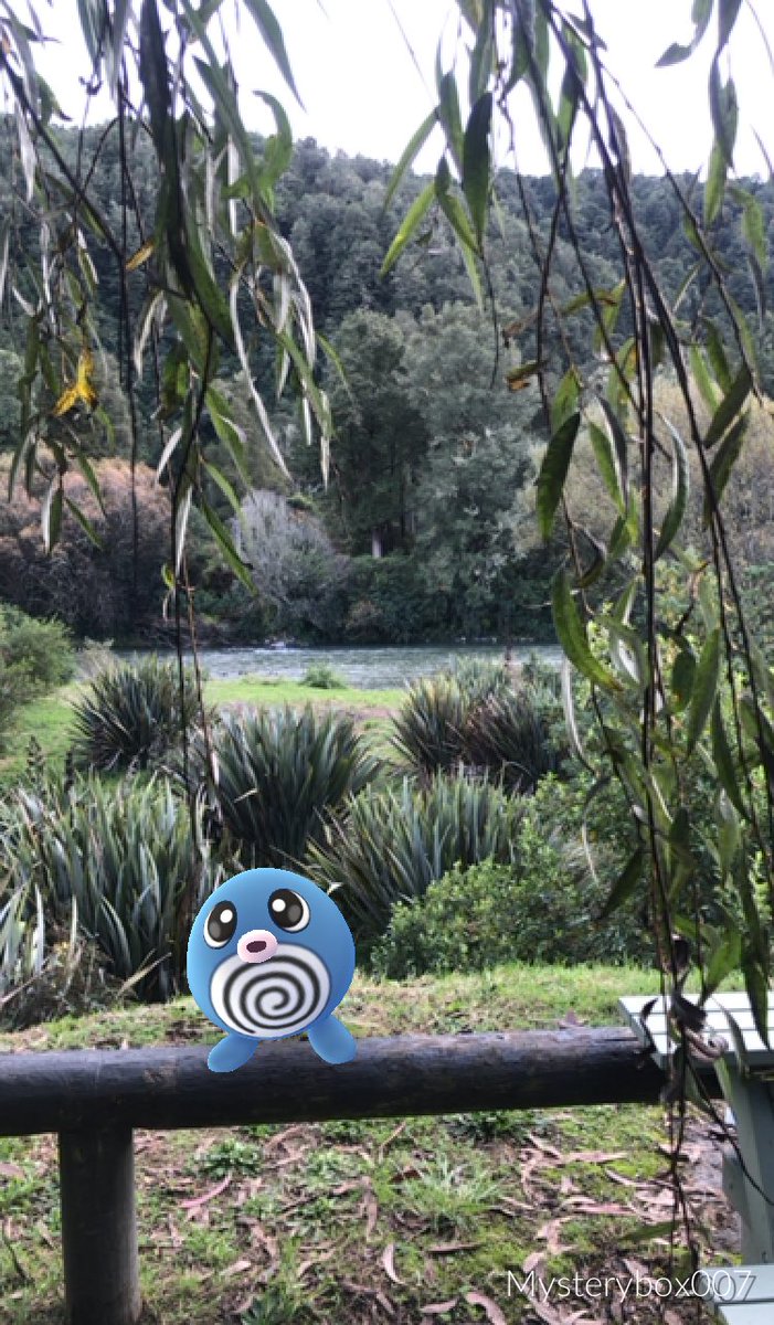 Scott_bigD's tweet image. I don’t AR+ often cause they always run but when i get reminded its still a feature of the game 😂 I’ll take time out at a nice spot for photos. Had a fun day out traveling to drop a friends kid off home to his mum. Any excuse to get in some pogo travel 😁 #ARPlusMode #PokemonGO