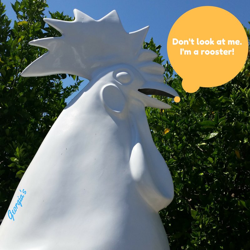 How much fried chicken do we serve? #SillySunday