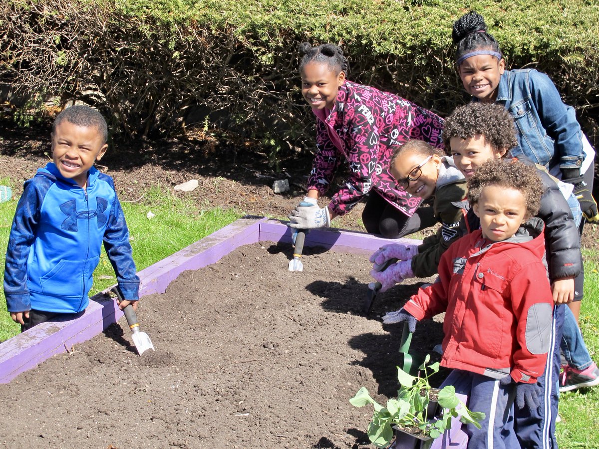 newcomoutreach's tweet photo. Thanks to everyone from @NC3Bronzeville &amp; the Jackie Robinson community who came out to plant the community gardens this morning! https://t.co/Pq2F6sw1KD