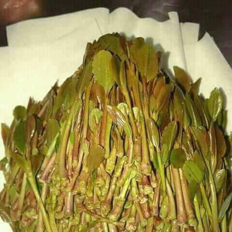 azqttt's tweet photo. من يشتي قات https://t.co/5fx6E71uwo