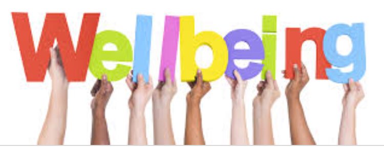 “In any society, the state of children should be of primary concern - their well-being is not only an indication of a society’s moral worth, they are human capital, the most important resource for its national future (Bradshaw 1990, p.3).