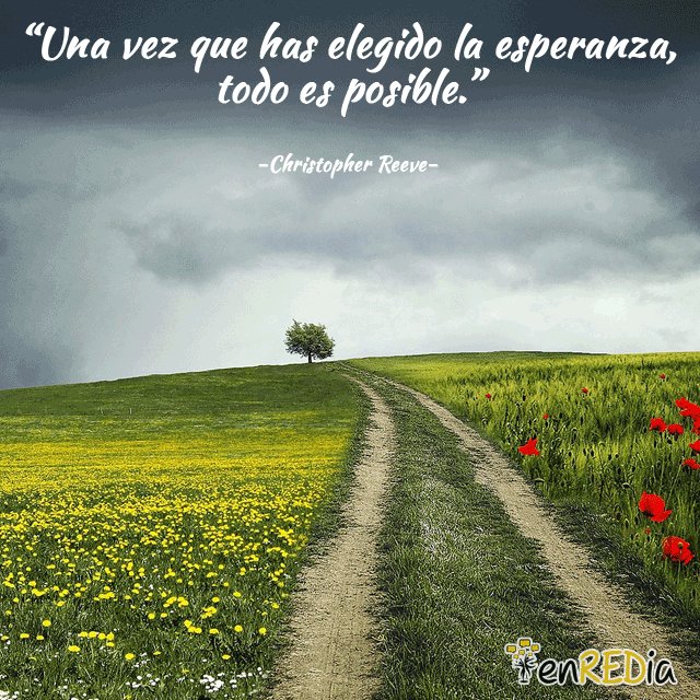 Enredia tweet media