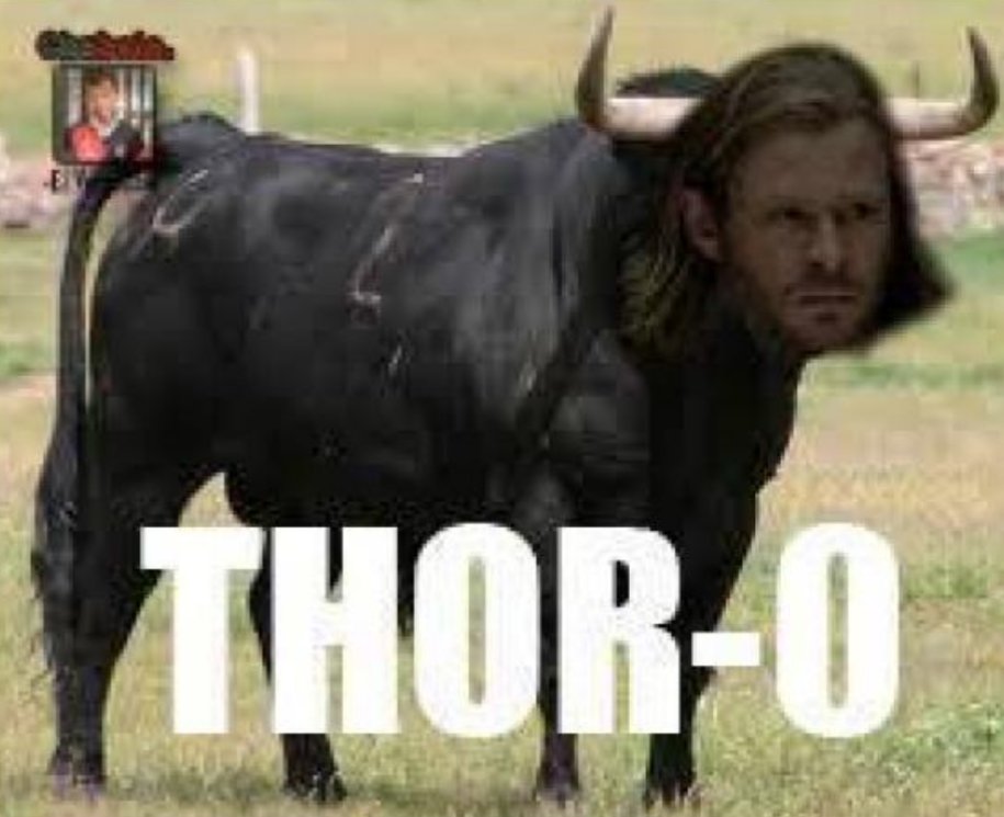 LosVeng's tweet photo. @PlacaDels tinc un toro, que ho ha atrapat el thor. https://t.co/rT2nRqjM45