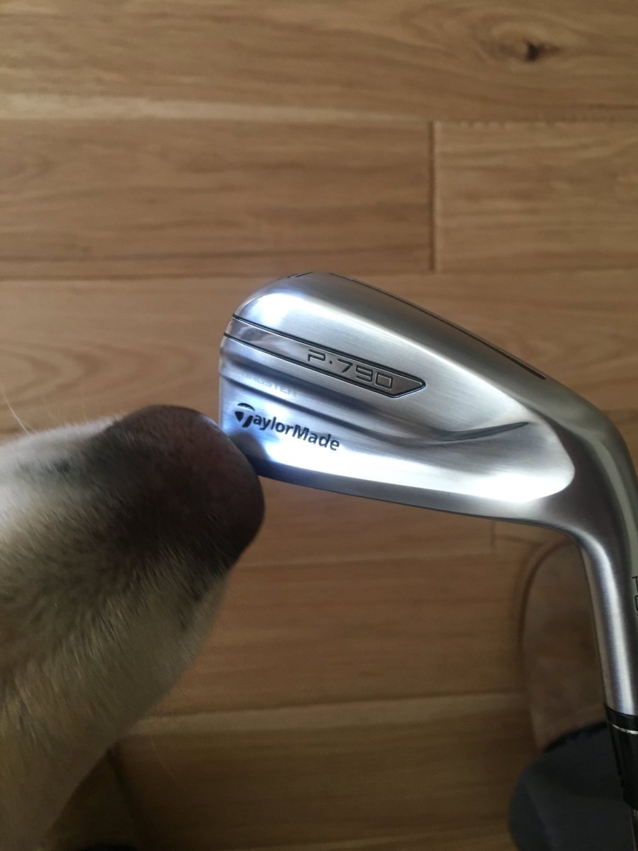 seancaseygolf's tweet photo. New sticks arrived today! Can’t wait to try them out. Thank you @TaylorMadeCA @TaylorMadeGolf #m3 #taylormade #p790s https://t.co/XGd97raWch