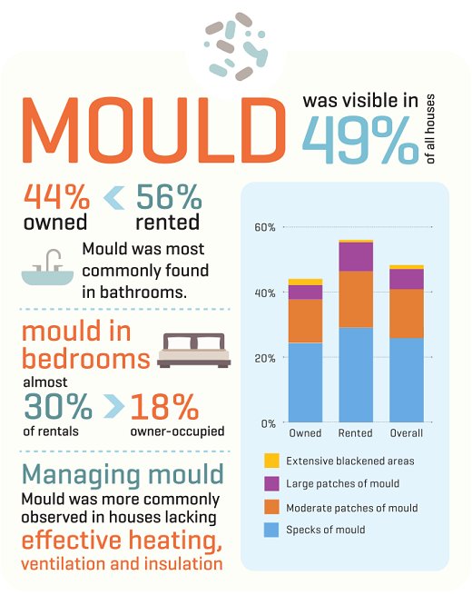 BRANZlive's tweet photo. Almost 50% of all houses surveyed in the #BRANZ 5th House Condition Survey showed visible #mould somewhere in the house. Rental properties had more mould compared to owned properties. https://t.co/cHhVrpPt4k https://t.co/RxEHNNAyiy