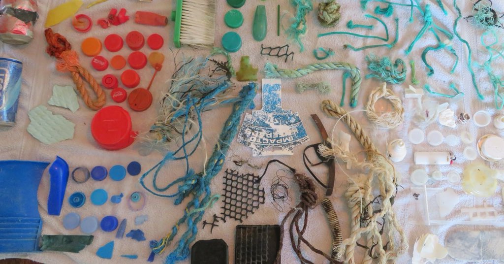 A #2minutebeachclean today 47 #bottletops 30+ #plasticpieces 3.5 metres of #ghostnet #STOPthePlasticTide #Plasticfreecoastlines #plasticfreelife #beachcleanup