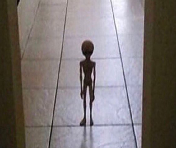 official_quick's tweet image. since i was gone for a very /long/ time..... whomstve should i follow? i need some content ,,,