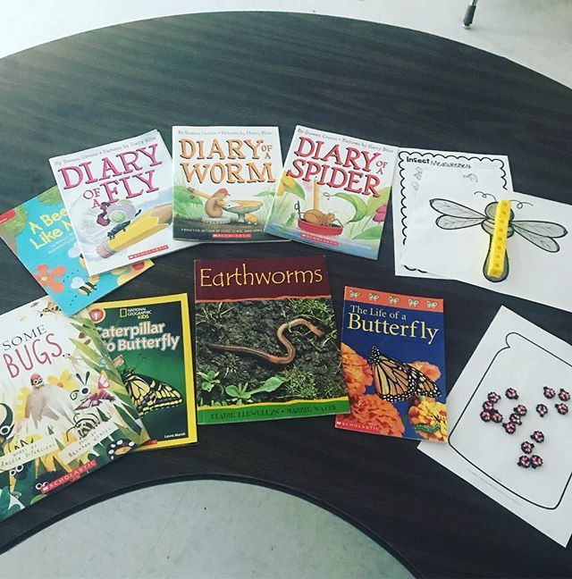 kinderatlast's tweet image. Ready for insect week! 🐜🦗🐞🐝 #insects #learningtilltheend #teachfirst #iteachfirst ift.tt/2jkrhgV