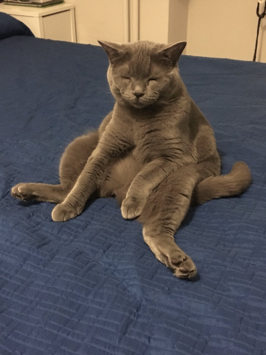 Carlo_cp's tweet photo. #chefintachefa Foto rubata mentre Ciro si addormenta facendo meditazione... @chetempochefa @lucianinalitti https://t.co/FWl7nAV1H0