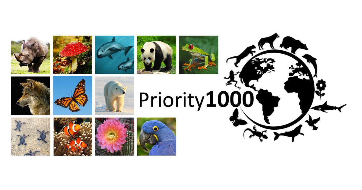 PhDVincent's tweet photo. 🌎Biodiversity conservation is a global priority #PrioritySpecies #Priority1000 🦋 https://t.co/ecBEDo362U