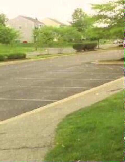 official_bucky's tweet image. 