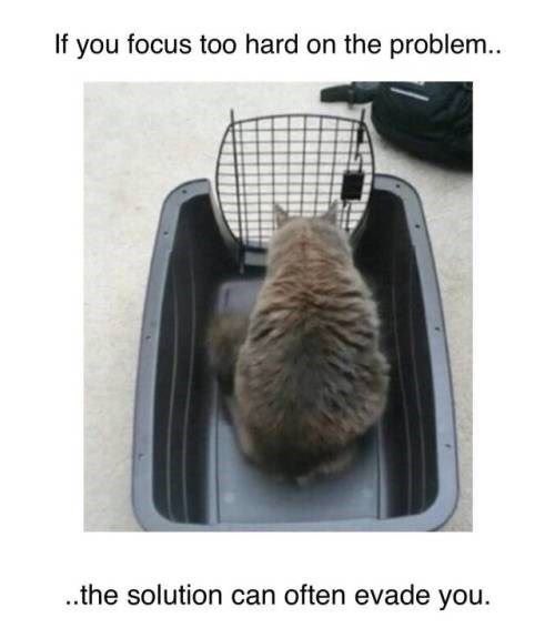 JessxBeer's tweet photo. Focus on solutions not problems! Positive thinking, productive actions, successful outcomes 🙌🏼#OccupationalTherapist #OccupationalTherapy #solutionsnotproblems https://t.co/UgMFGMTEBO