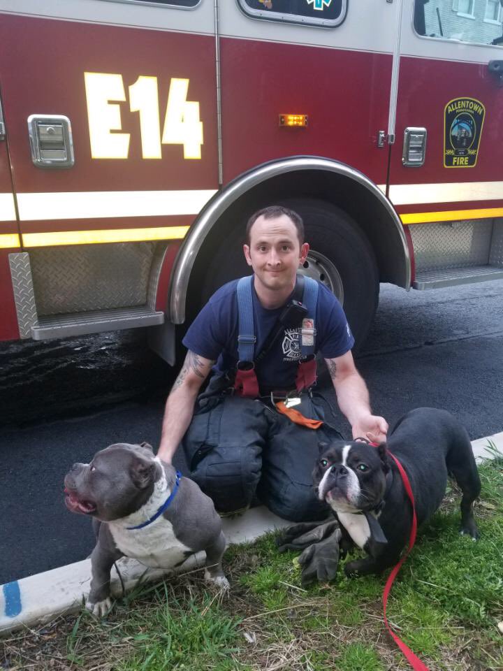Arsondawg_42's tweet photo. AFD rescues 2 dogs from smoke filled basement on S 8th St. Outstanding work fellas #afdstrong https://t.co/XmJElz275O